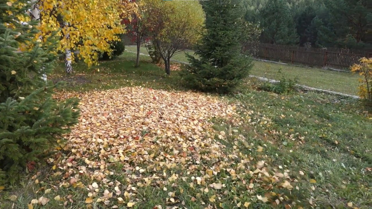 https://nizhnevartovsk.mslandshaft.ru/storage/app/uploads/public/642/ac5/f22/642ac5f2293e2935715739.jpg